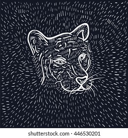 graphics tiger head. doodle style