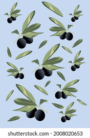 graphics. vector background image with a branch of green and black olives