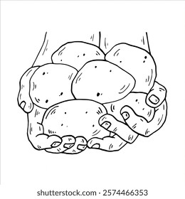 Gráficos Vector negro contorno de las manos con patatas