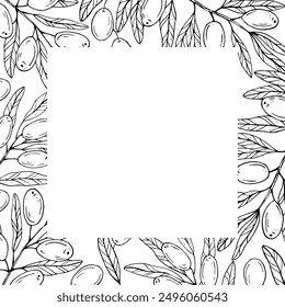 Graphics vector botanical black and white frame with olives and leaves. Olive branch with olives and leaves
