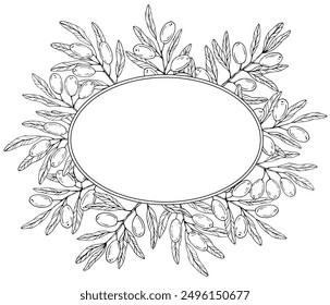 Graphics vector botanical black and white frame with olive branches
