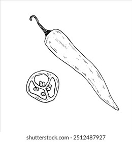 Graphics vector botanical illustrations with chili pepper. Black line sketch with herbs and spices. Two versions - with and without filling


