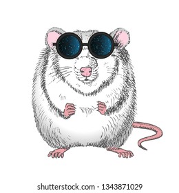 
Graphics of a white rat in the glasses with the reflection of outer heaven

