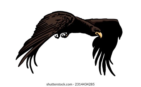 Grapical color  vulture isolated on white background, vector illustration .