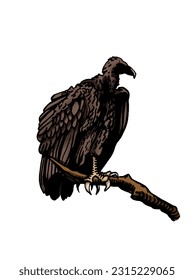 Grapical color  vulture isolated on white background, vector illustration .