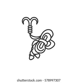 grappling hook and rope