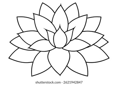 Graptopetalum Leaf Line Art Design for Botanical Book Illustration 