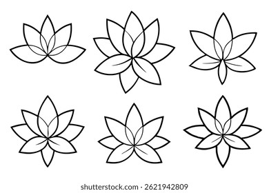 Graptopetalum Leaf Line Art Drawing for Nature Inspired Artwork  