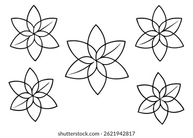 Graptopetalum Leaf Line Art Drawing for Nature Inspired Artwork 