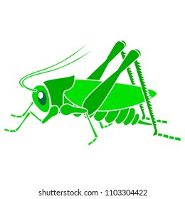 grashopper vector image