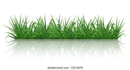 Grass, 10eps