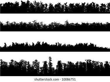 Grass