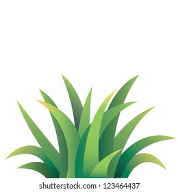 grass