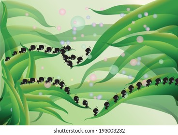grass