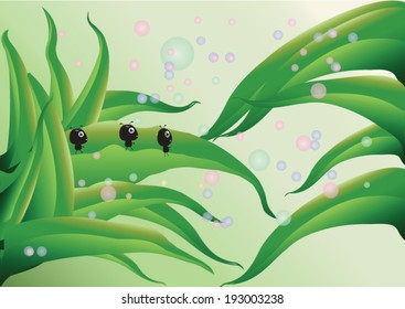grass