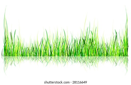 grass