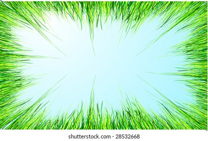 grass