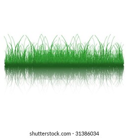 Grass