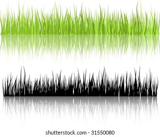 Grass