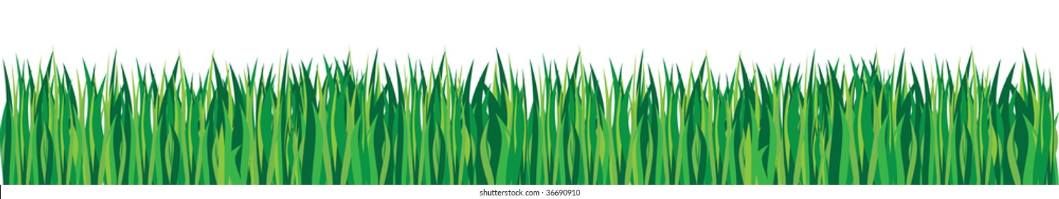 grass