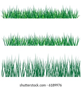 the grass