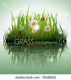 Grass