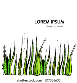 Grass abstraction background drawing pen. Vector