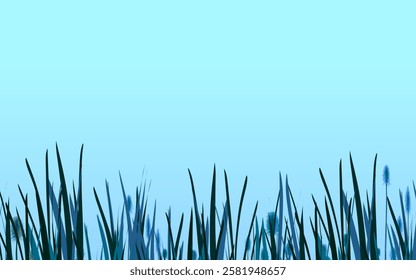 grass against a blue sky background