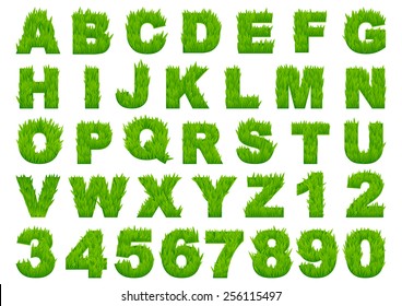 Grass alphabet depicting letters and numbers with spring green grass texture for education or ecological concept design