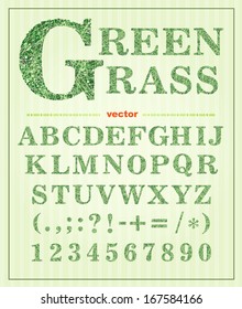 Grass alphabet. Letters, numbers, punctuation marks. Vector