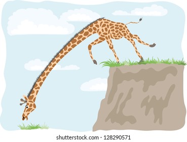 grass is always greener over there - a giraffe wants only to eat the grass on the ground... and lost it's balance