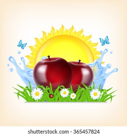 Grass and apple on a splashing water and sun. Red apple. Summer time. Time for a picnic. Vector background. EPS10 vector