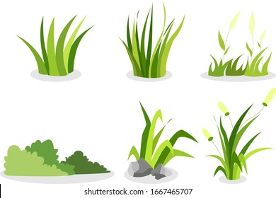 grass assets, type of grass, grass for assets.