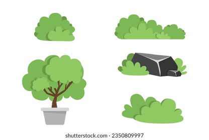 grass assets, type of grass, grass for assets.