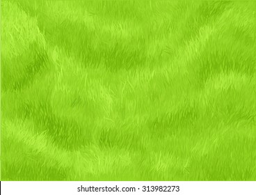 Grass Background