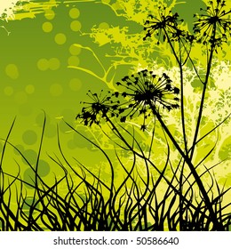  Grass background