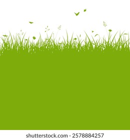 Grass background with copy space for text, meadow background