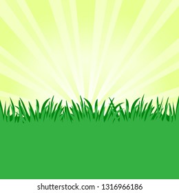 Grass background, green meadow, space for your text. Vector illustration