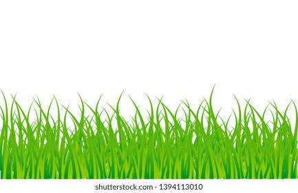 Grass background. Mockup for design. Grass vector EPS10. Copy space. Eco concept.