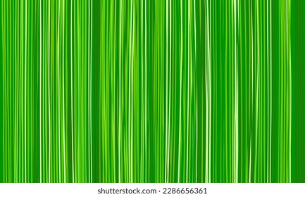 grauer Hintergrund. Naturgrüne Textur aus langen vertikalen Grasblättern, natürliche abstrakte Streifen Tapete aus Streifen von grünen Farbtönen. Ökokonzept. Design von Earth Day-Bannern und -Flyern