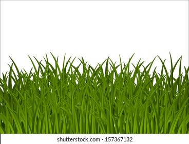 Grass background with place for text