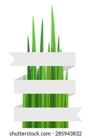 Grass background with rbbon vector illustration