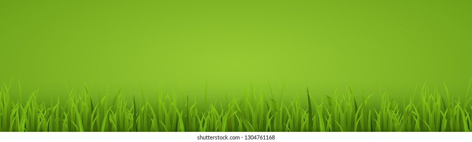 Grass background. Realistic Green grass texture. Isolated on green. Vector