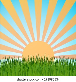 Grass background ,sun rays vector,blue sky illustration