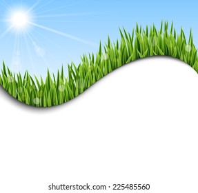 Grass background with sunlight
