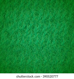 Grass background. Texture of green grass growing on a lawn. Vector illustration