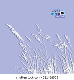 grass background. Vector