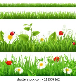 Grass Backgrounds Set With Flowers And Ladybug, Vector Illustration