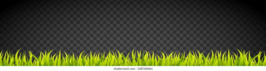 Grass banner. Cereal sprouts. Springtime growth greenery. Green turf overlay stripes