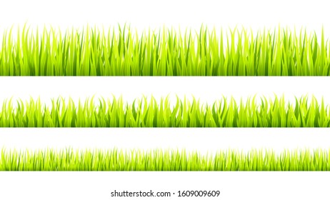 Grass banner. Cereal sprouts. Springtime growth greenery. Green turf overlay stripes